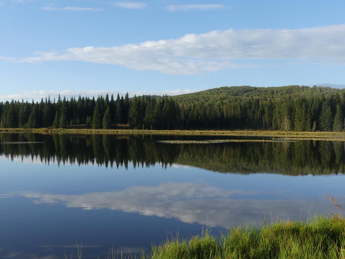 Schott'S Lake Conference & Resort Sundre エクステリア 写真
